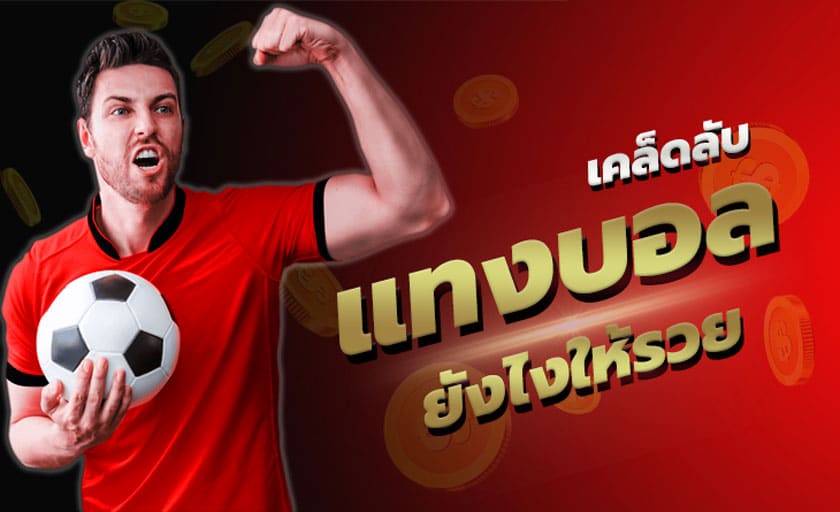 แทงบอลUFAZEED